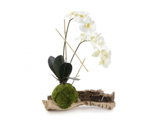 Статуэтка Organic Phalaenopsis 4493