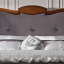 Кровать Letto Classic - купить в Москве от фабрики FM bottega d'arte из Италии - фото №2