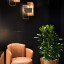Кресло Beverly Orange - купить в Москве от фабрики Bruno Zampa из Италии - фото №5