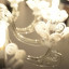 Люстра Cemes Bianco 12l - купить в Москве от фабрики Iris Cristal из Испании - фото №2