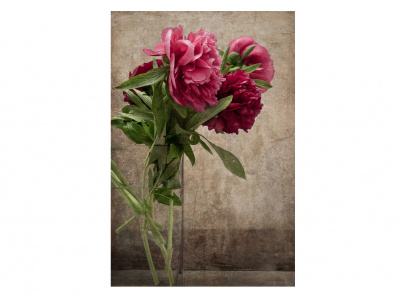Настенный декор Flowers Printed Image