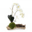 Статуэтка Organic Phalaenopsis 4493 - купить в Москве от фабрики John Richard из США - фото №1