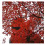 Настенный декор Red Leaves Opti White Image - купить в Москве от фабрики Astley из Великобритании - фото №1